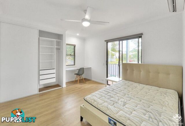 14 Kingsley Parade Yeronga QLD 4104