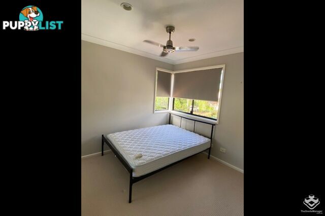 42/60 Caseys Road Hope Island QLD 4212