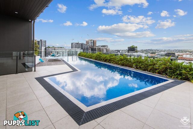 27 Commercial Road Newstead QLD 4006