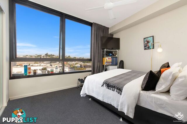 27 Commercial Road Newstead QLD 4006