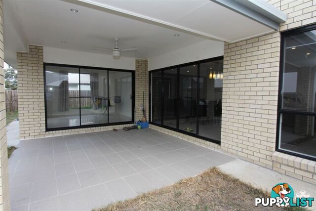 20 Foxwood Circuit Wakerley QLD 4154