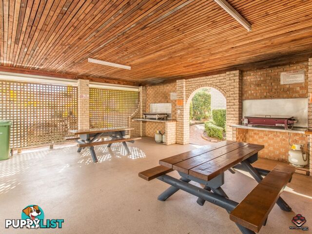 15 Magellan Road Springwood QLD 4127