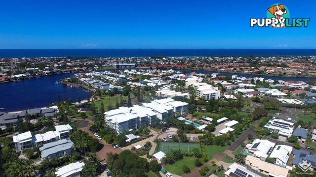 17/4 Grand Parade Parrearra QLD 4575