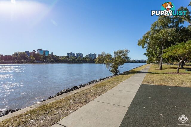 ID:21155186 17-21 Duncan Street West End QLD 4101