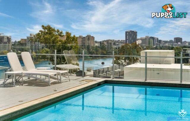 ID:21155186 17-21 Duncan Street West End QLD 4101