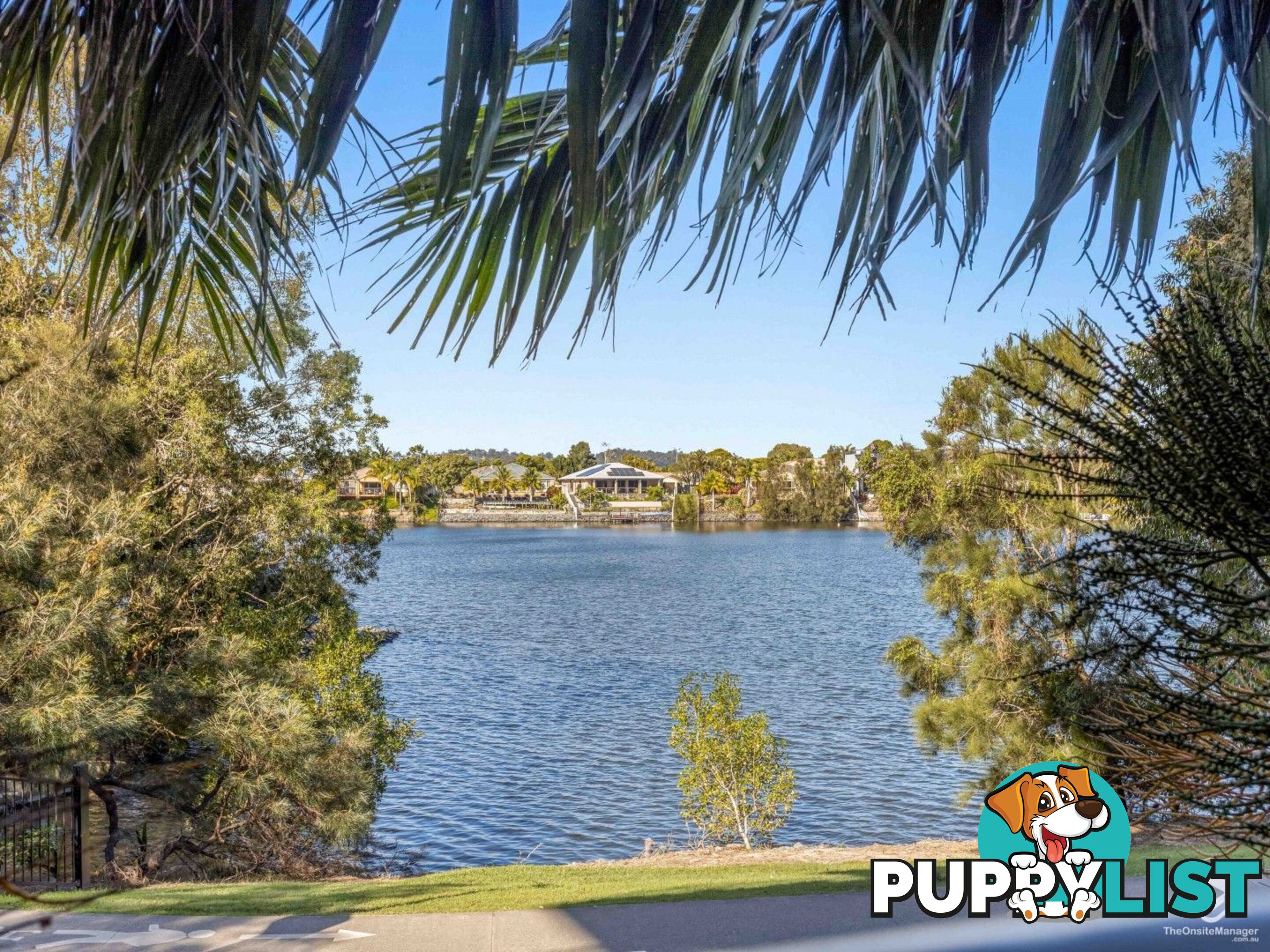 ID:21156579 33 Lakefront Crescent Varsity Lakes QLD 4227