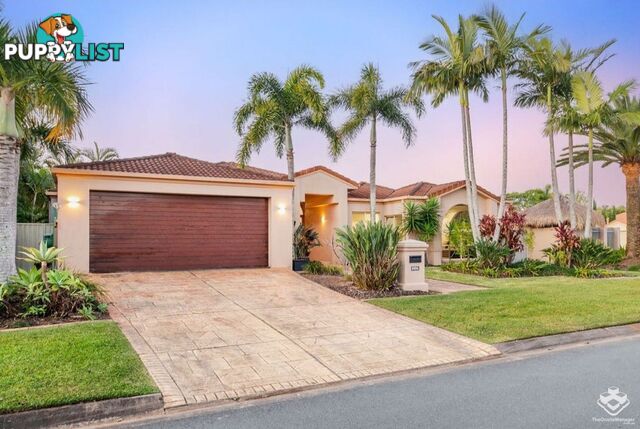 1643 Riverdale Court Hope Island QLD 4212