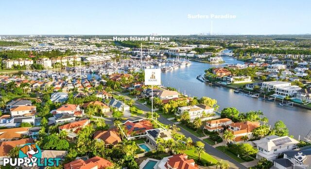 1643 Riverdale Court Hope Island QLD 4212