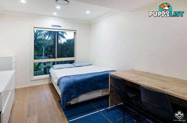 1643 Riverdale Court Hope Island QLD 4212