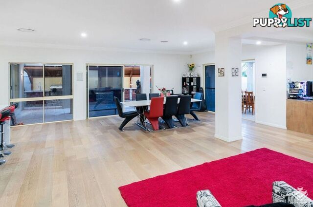 1643 Riverdale Court Hope Island QLD 4212