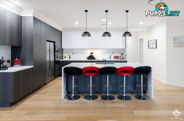 1643 Riverdale Court Hope Island QLD 4212