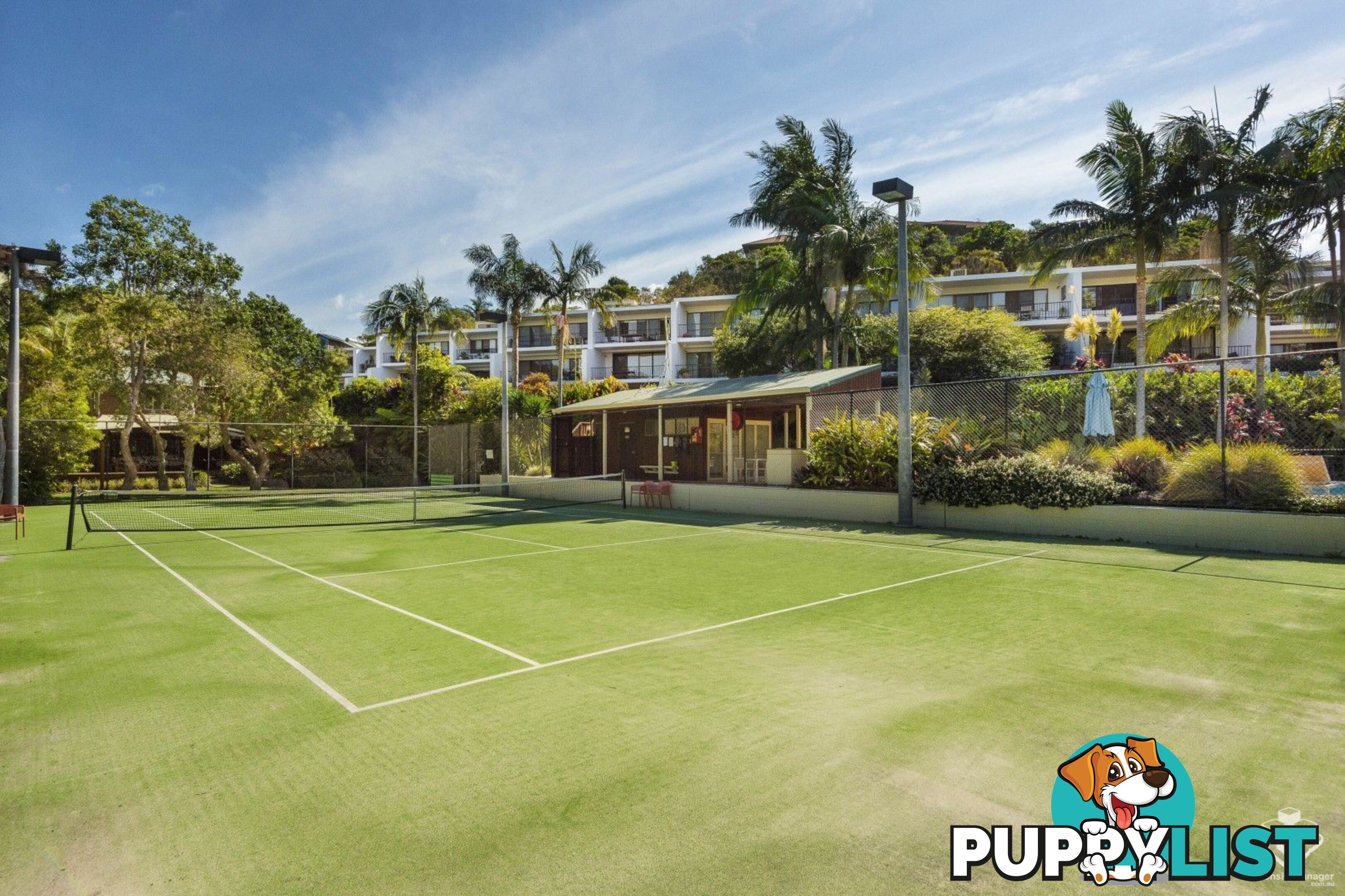ID:21094468 24 Scott Street Byron Bay NSW 2481