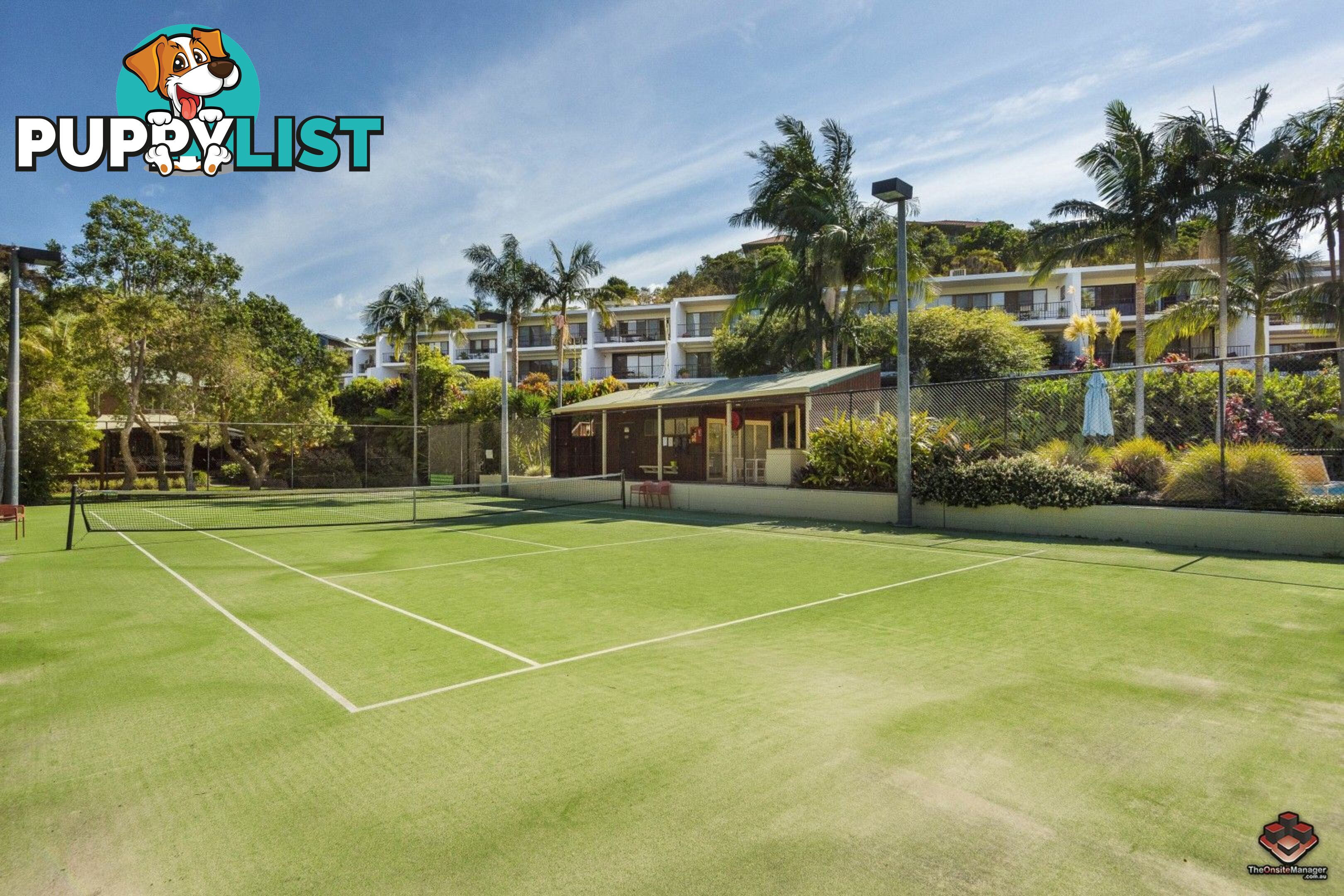 ID:21094468 24 Scott Street Byron Bay NSW 2481