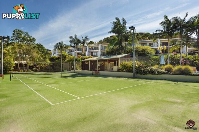 ID:21094468 24 Scott Street Byron Bay NSW 2481