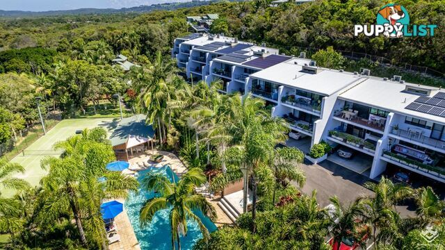 ID:21094468 24 Scott Street Byron Bay NSW 2481