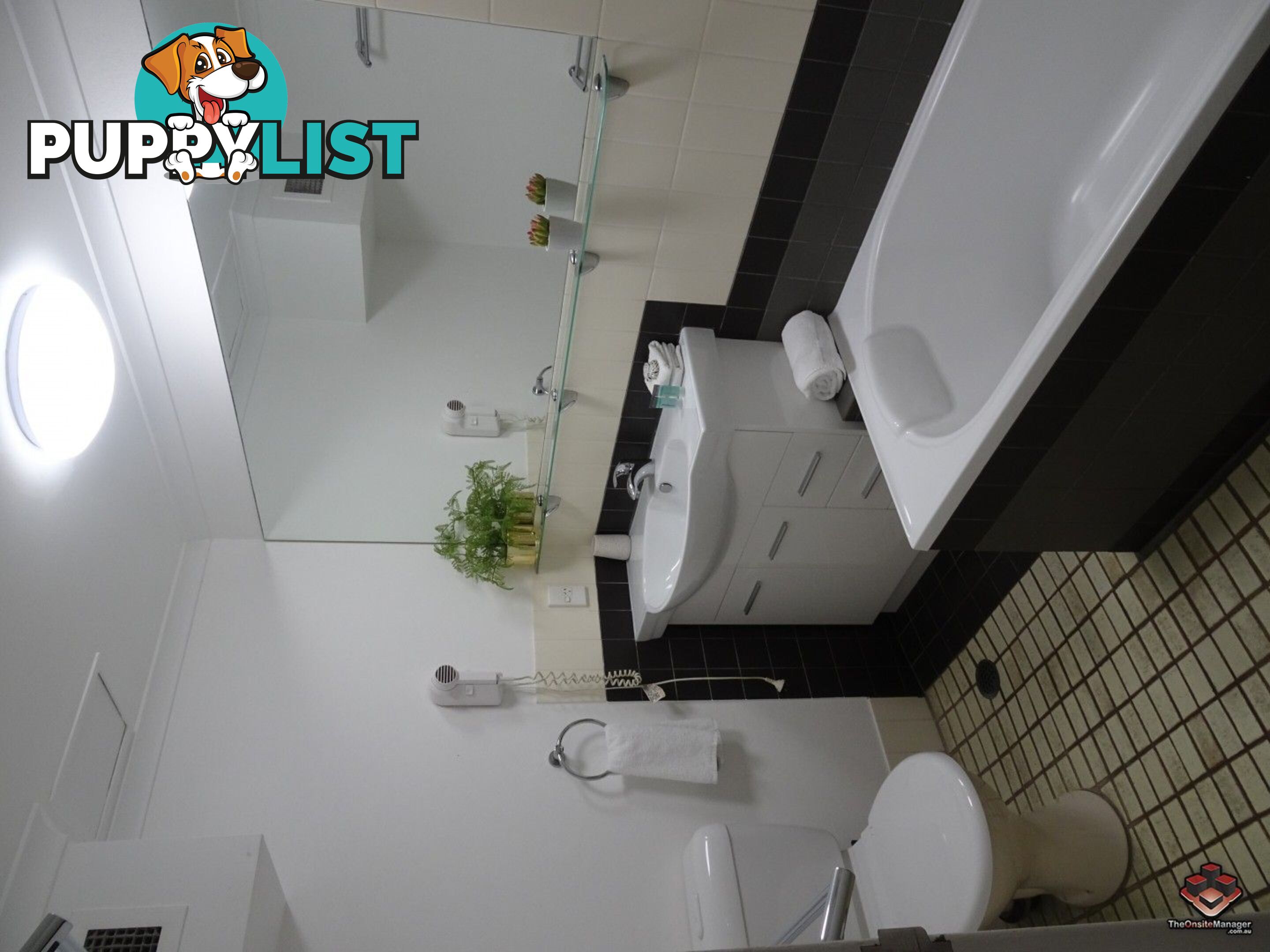 ID:21094468 24 Scott Street Byron Bay NSW 2481