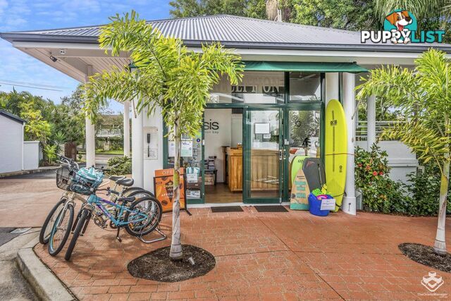 ID:21094468 24 Scott Street Byron Bay NSW 2481