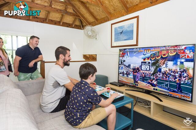 ID:21094468 24 Scott Street Byron Bay NSW 2481