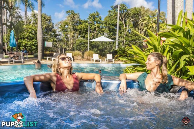 ID:21094468 24 Scott Street Byron Bay NSW 2481