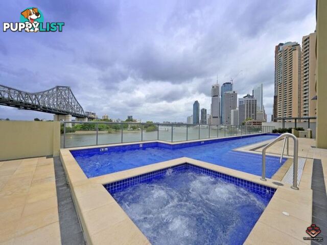 ID:3897102/82 Boundary Street Brisbane City QLD 4000