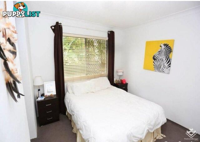 2/72 Seagull Avenue Mermaid Beach QLD 4218