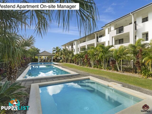 ID:3865662/6-24 Henry Street West End QLD 4810