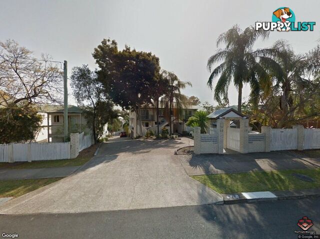 ID:3892848/68 Herston Road Kelvin Grove QLD 4059