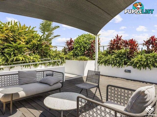 807/47 Nundah Street Nundah QLD 4012