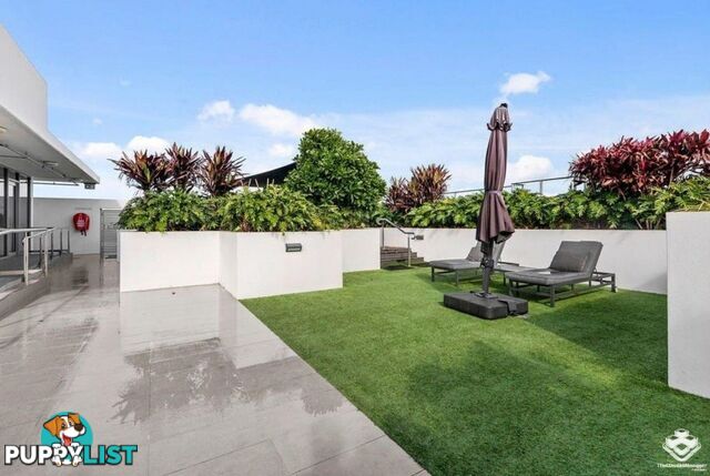 807/47 Nundah Street Nundah QLD 4012