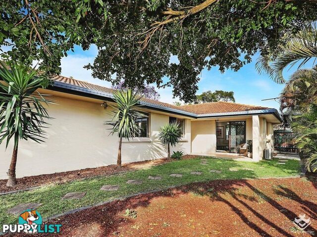 ID:21143590/6 Masthead Street Jamboree Heights QLD 4074