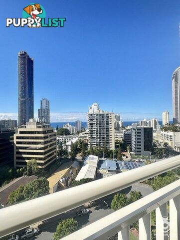 ID:21136419/2 Riverview Parade Surfers Paradise QLD 4217