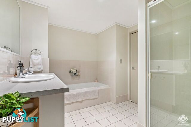 ID:21154155 45 Oxlade Drive New Farm QLD 4005