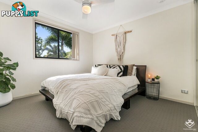 ID:21154155 45 Oxlade Drive New Farm QLD 4005