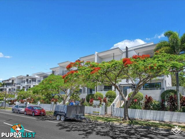ID:21154155 45 Oxlade Drive New Farm QLD 4005