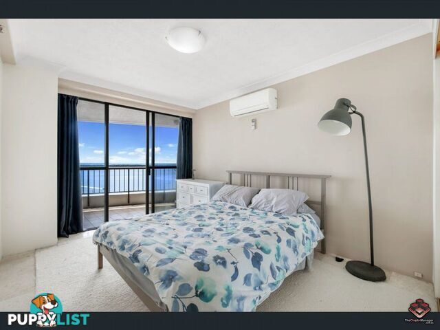 ID:21097965/17 Bayview Street Runaway Bay QLD 4216