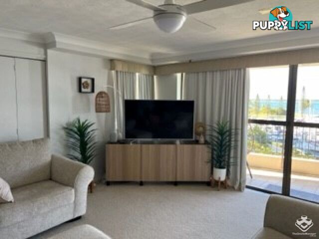 ID:21097965/17 Bayview Street Runaway Bay QLD 4216