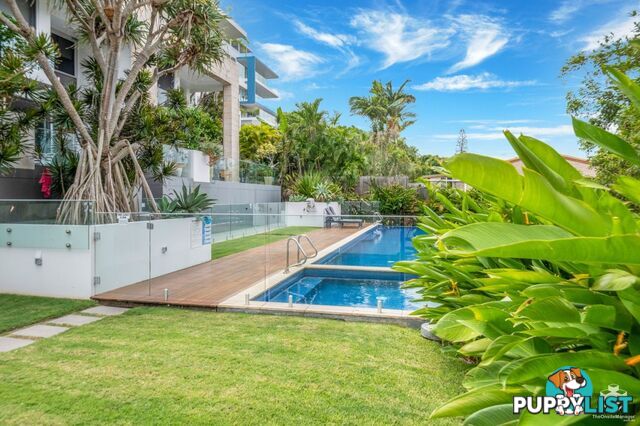 ID:21151922 20 Cliff Street Yeppoon QLD 4703