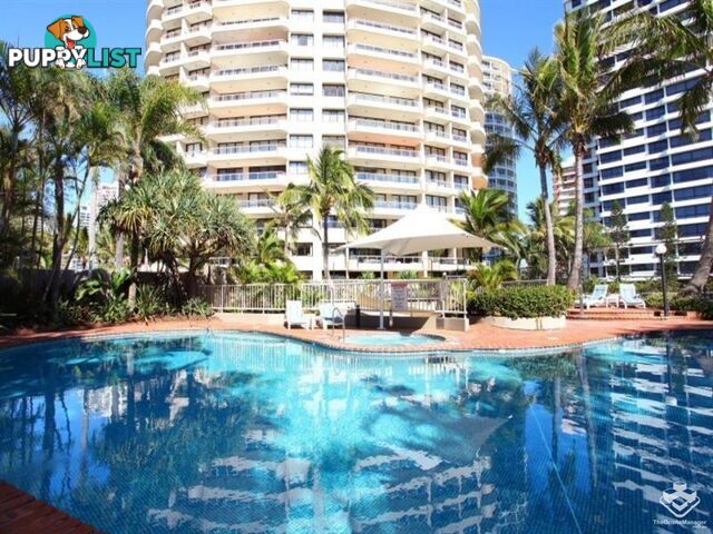 ID:21154022 13 Cunningham Avenue Main Beach QLD 4217
