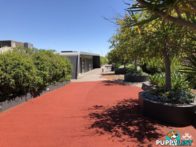 Pyrmont NSW 2009