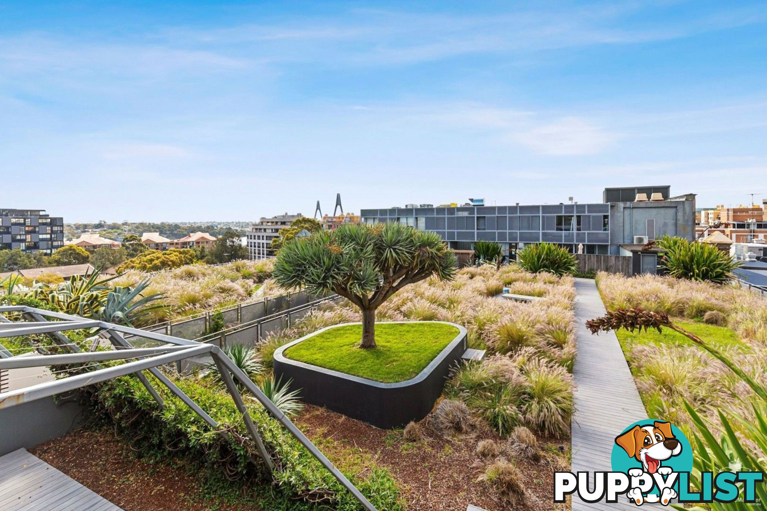 Pyrmont NSW 2009