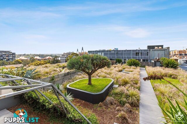 Pyrmont NSW 2009