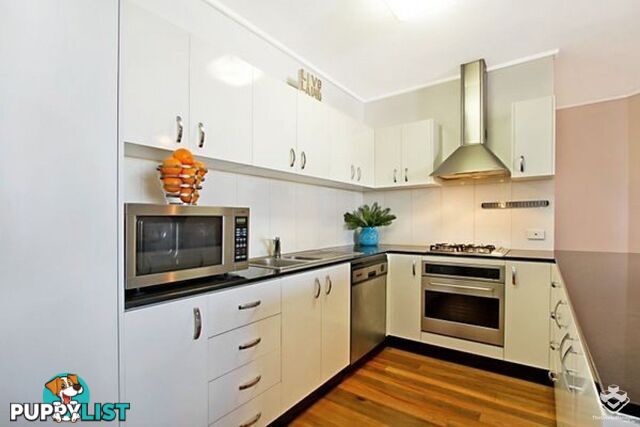 ID:21155863 7 Land Street Auchenflower QLD 4066