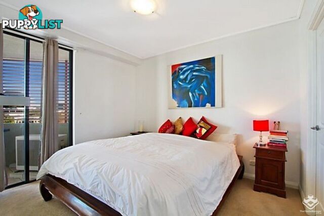 ID:21155863 7 Land Street Auchenflower QLD 4066