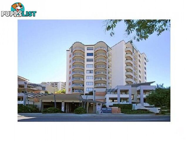 ID:21155863 7 Land Street Auchenflower QLD 4066