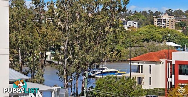 ID:21155863 7 Land Street Auchenflower QLD 4066