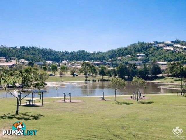 ID:21152696 18 Archipelago Street Pacific Pines QLD 4211