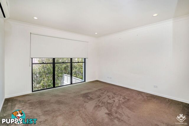 ID:21152696 18 Archipelago Street Pacific Pines QLD 4211