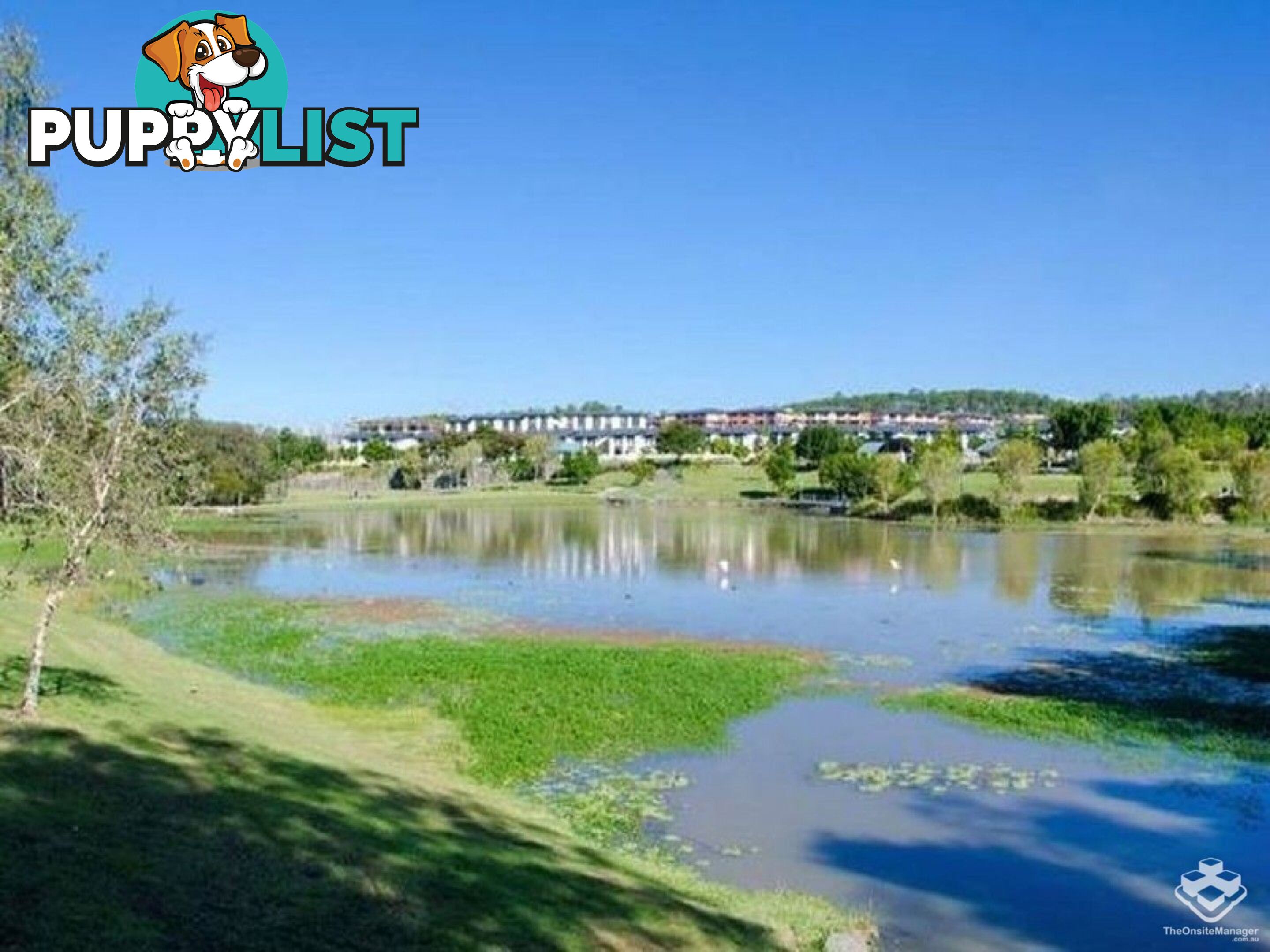 ID:21152696 18 Archipelago Street Pacific Pines QLD 4211