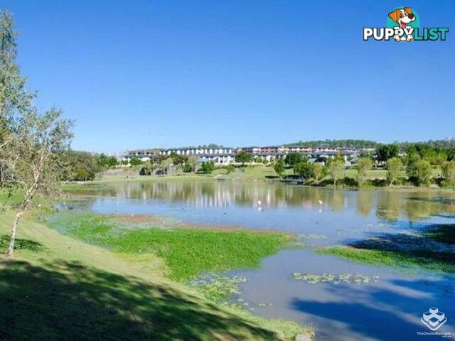 ID:21152696 18 Archipelago Street Pacific Pines QLD 4211