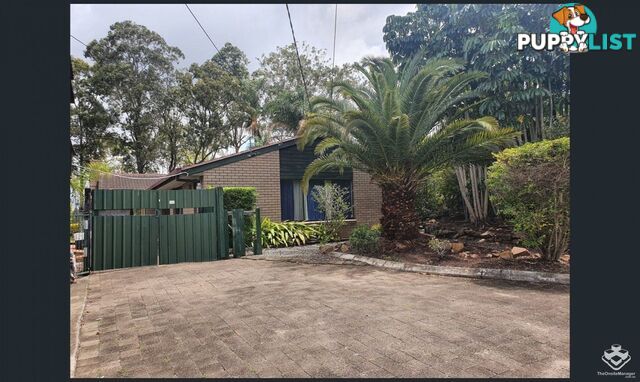 3 Oak Avenue Browns Plains QLD 4118